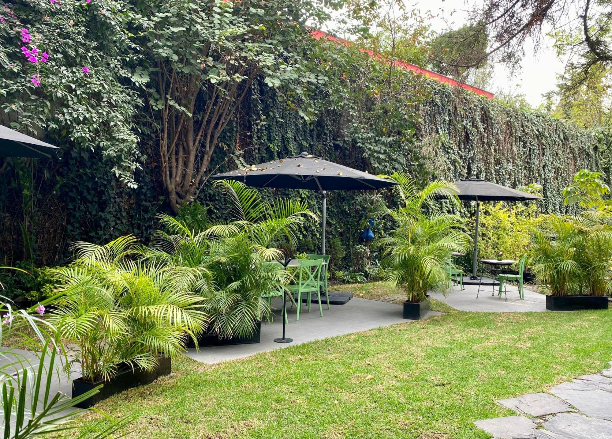 Pug Seal Polanco Anatole France Hotel Mexico City Luaran gambar