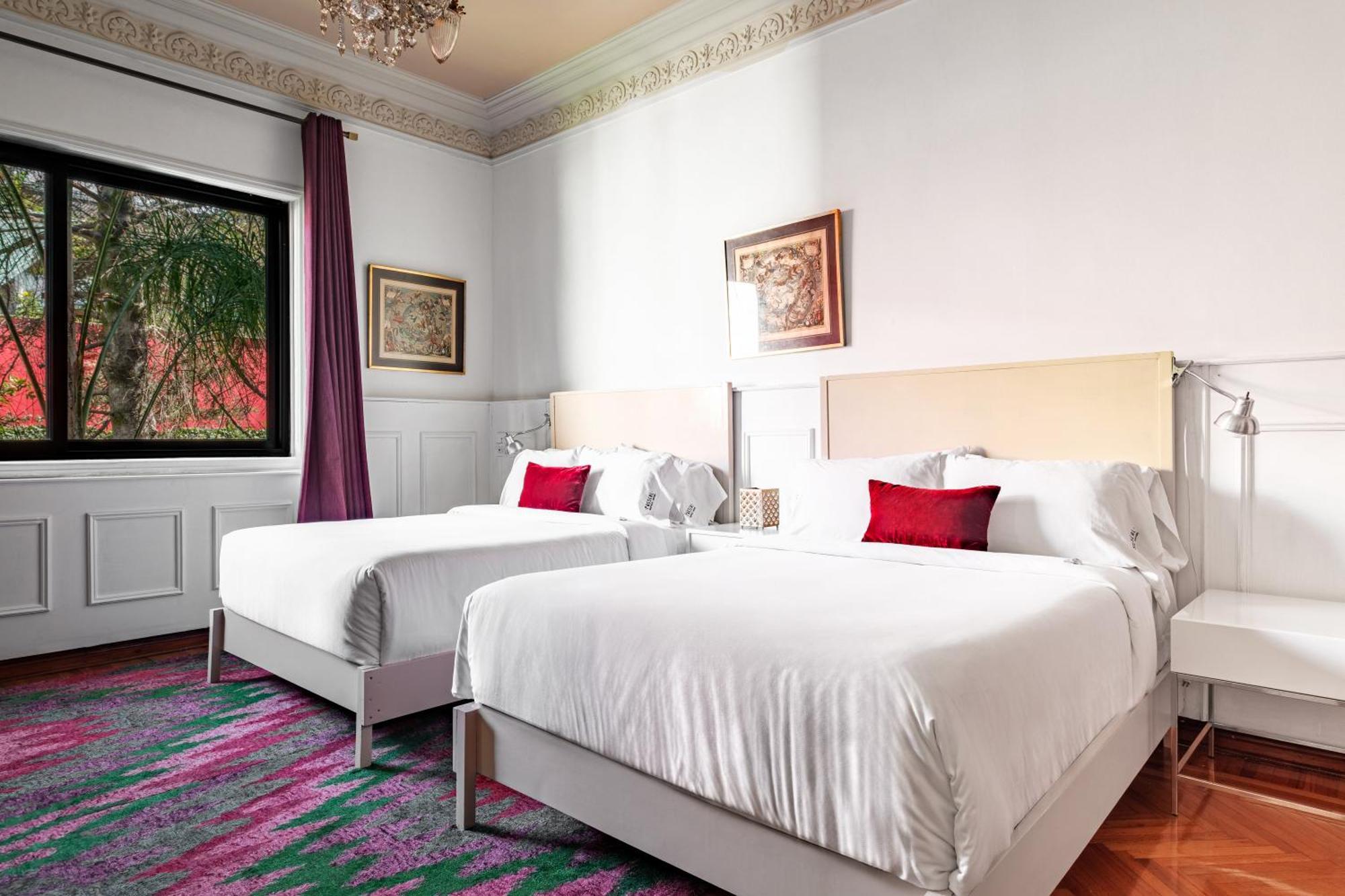 Pug Seal Polanco Anatole France Hotel Mexico City Bilik gambar